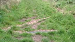 Image on trail