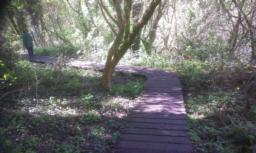 Image on trail