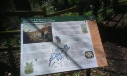 Image on trail