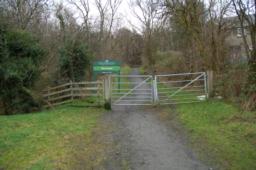 Image on trail