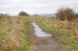 Image on trail