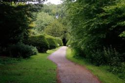 Image on trail