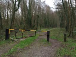 Image on trail