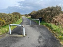 Image on trail