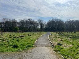 Image on trail