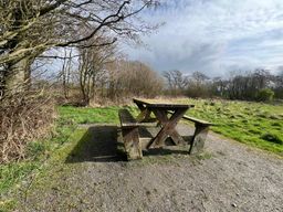 Image on trail