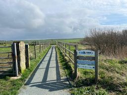 Image on trail