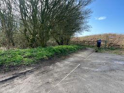 Image on trail