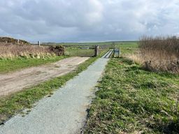 Image on trail