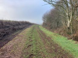 Image on trail
