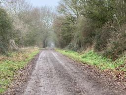 Image on trail