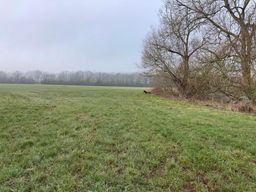 Image on trail