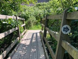Image on trail