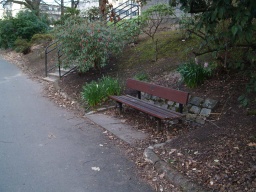 Image on trail