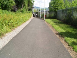Image on trail