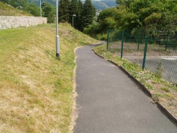 Image on trail