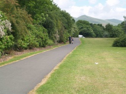 Image on trail