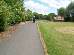 Image on trail