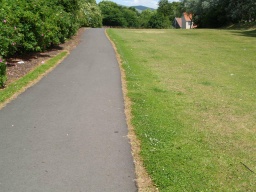 Image on trail