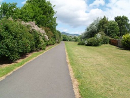 Image on trail