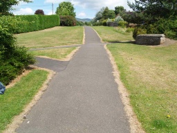 Image on trail