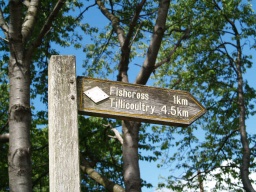 Image on trail