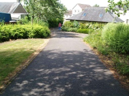 Image on trail