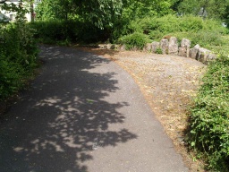 Image on trail