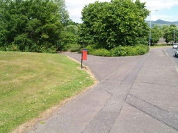 Image on trail