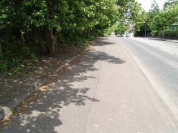 Image on trail