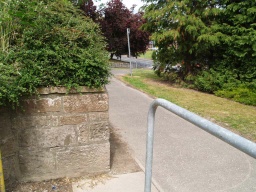 Image on trail