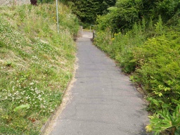 Image on trail