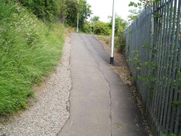 Image on trail