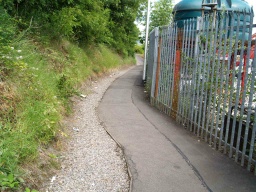 Image on trail