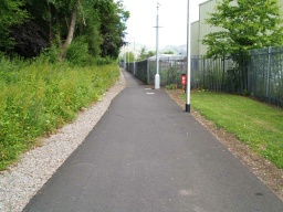 Image on trail