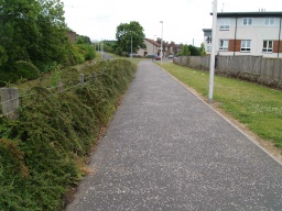Image on trail