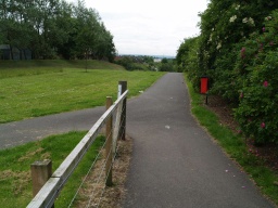 Image on trail