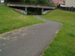 Image on trail