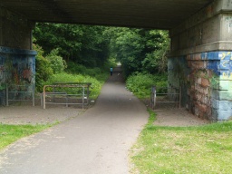 Image on trail