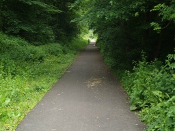 Image on trail