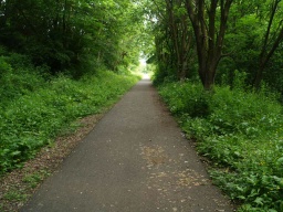 Image on trail