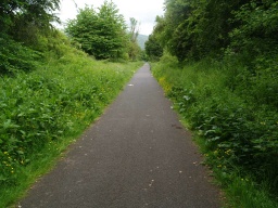 Image on trail