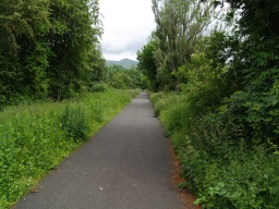 Image on trail