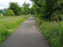 Image on trail