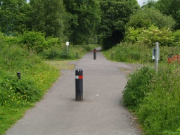 Image on trail