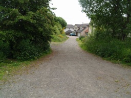 Image on trail