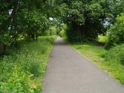 Image on trail