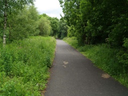 Image on trail