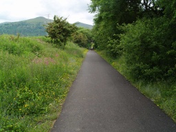 Image on trail