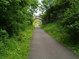 Image on trail